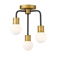 thumbnail image 4 of Z-Lite Neutra 3 Light Clear Glass Steel Semi Flush Mount in Black and Nickel, 4 of 4