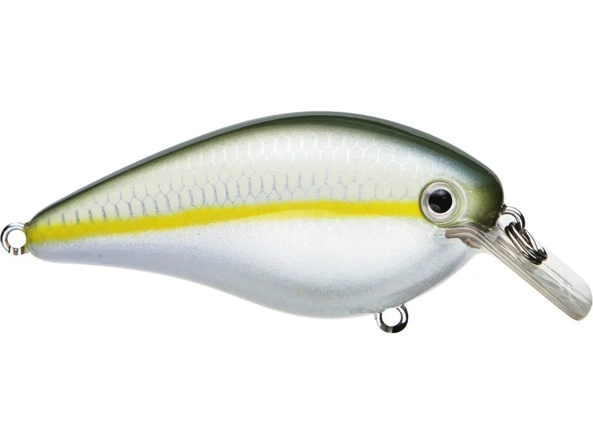 Strike King KVD Square 2.5 Citrus Shad