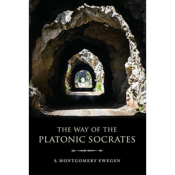 Studies in Continental Thought The Way of the Platonic Socrates, (Paperback)