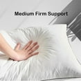 thumbnail image 3 of Goose Down Pillows Standard Size Luxury Hotel Soft Bed Pillow for Sleeping (1 Count  20" x 26"), 3 of 5