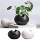 thumbnail image 1 of 2x macetas de cerámica para guardería, macetas para plantas suculentas, decoración moderna para para hogar DYNWAVEMX Macetas de cerámica para hidroponía, 1 of 8