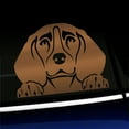 thumbnail image 1 of Peeking Beagle - Vinyl Car Decal - Choose Color - [COPPER], 1 of 1