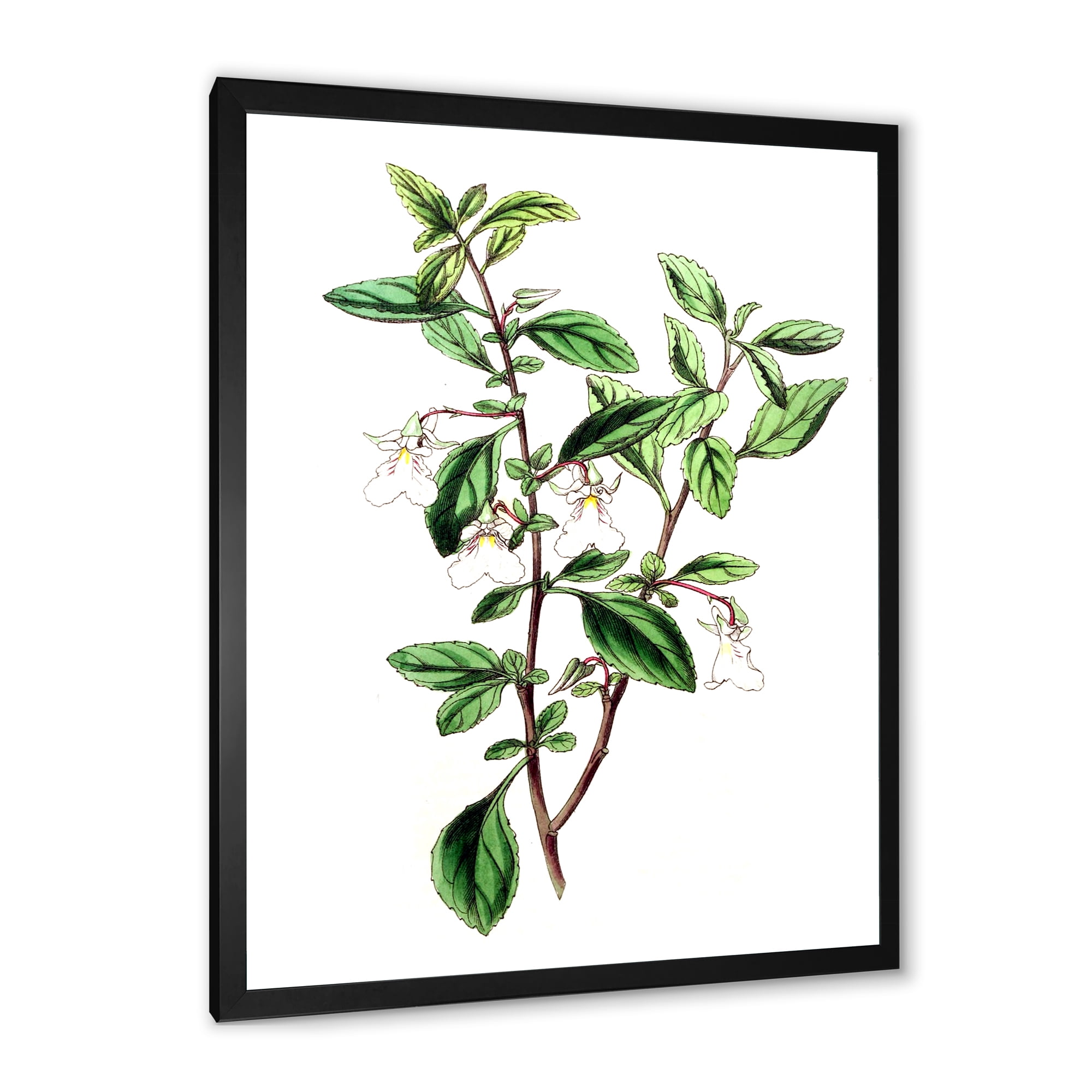 Designart 'Ancient Green Leaves Plants VII' Traditional Framed Art Print