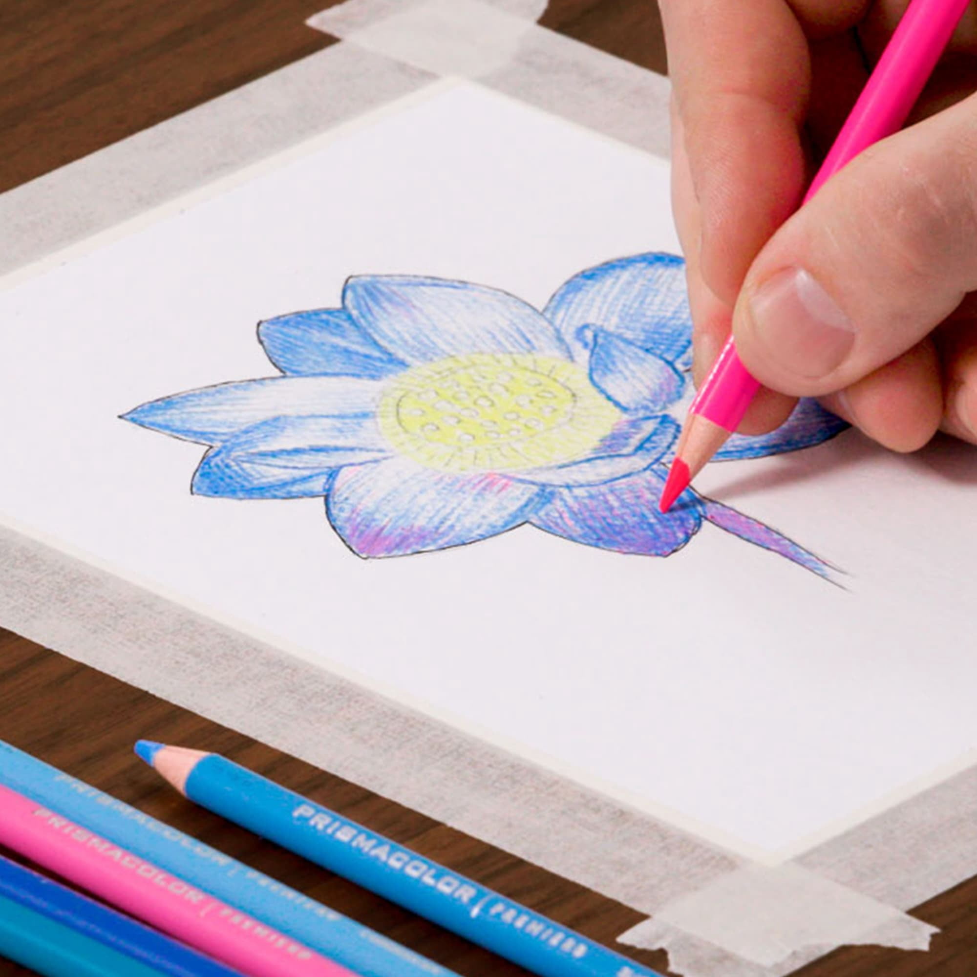 Prismacolor Technique, Art Supplies and Digital Art Lessons, Nature Drawing Set, Level 1, Learn to Draw with Colored Pencils, Graphite Pencils, and More, Flower Drawing, 26 Count