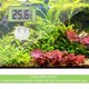 thumbnail image 5 of Aquarium Thermometer LCD Digital Thermometer Fish Tank Temperature Measuring Tool Aquarium Digital Display Thermometer, 5 of 5