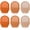 Terracotta, variant on 300Pcs Terracotta Cupcake Liners Fall Colors Baking Cups Autumn Orange Gradient Wedding Standard Muffin Cupcake Wrappers for Thanksgiving Party Supplies Table Decor