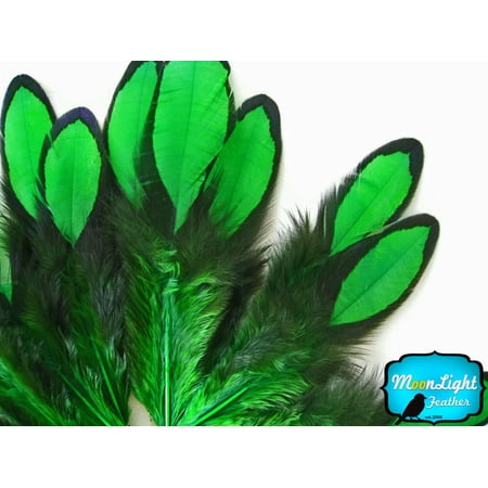 Kelly Lace - 1 Dozen - Kelly Green Laced Hen Saddle Feather