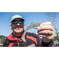 thumbnail image 4 of Strike King Rage Swimmer Kit 3 3/4" New Penny Soft Bait Lure, 4 of 7