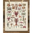 thumbnail image 5 of French Crustaceans Art Print - 11x14 Unframed Art Print - Great Beach House Wall Decor, 5 of 6