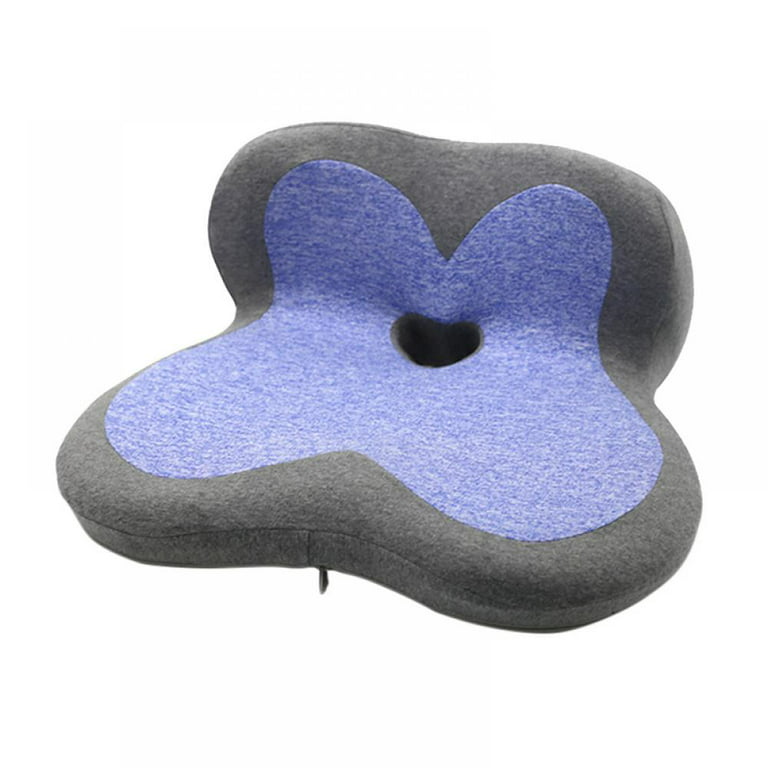  LAMPPE Tailbone Pillows for Sitting, Coccygeal Cushions Premium  Memory Foam Washable, Desk Chair Seat Cushion for Back,Coccyx,Tailbone Pain  Relief,Blue : Everything Else