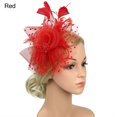 thumbnail image 5 of Elegant Tea Party Fascinator Hat for Women - Feather Mesh Net Veil with Feather Trim - Perfect for Weddings, Halloween Parties, and Special Occasions, 5 of 5