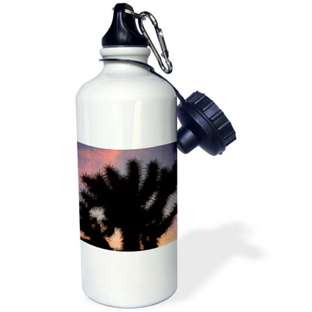 

Jumping cholla Sonoran Desert Arizona - US03 FZU0012 - Frank Zurey 21 oz Sports Water Bottle wb-87913-1