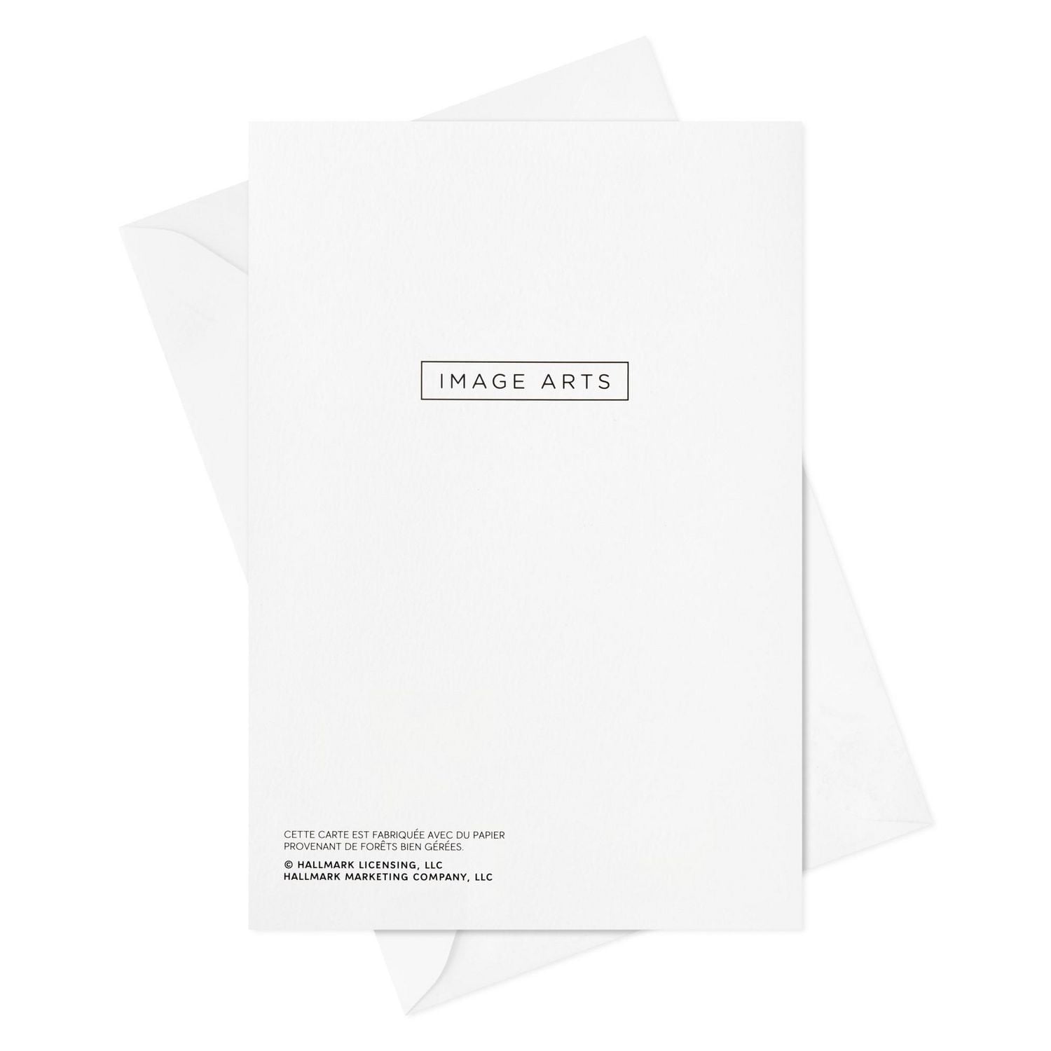 Boîte de cartes de Noël – Image Arts (Des vœux doux et merveilleux), 28 cartes