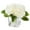 Cream, variant on Enova Home 4 Large Heads Artificial Velvet Roses Faux Flowers in Cube Glass Vase with Faux Water for Home Office Wedding Decoration (Beige)