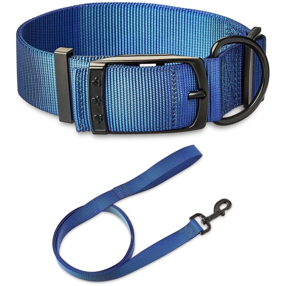 Vibrant Life Solid Polyester Adjustable Dog Collar, with 6ft Dog Leash, Blue, Extra Large