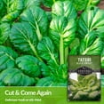thumbnail image 3 of 3 Packs Black Knight Tatsoi Seeds - Non-GMO Heirloom Full Sun Biennial Vegetable, 3 of 6