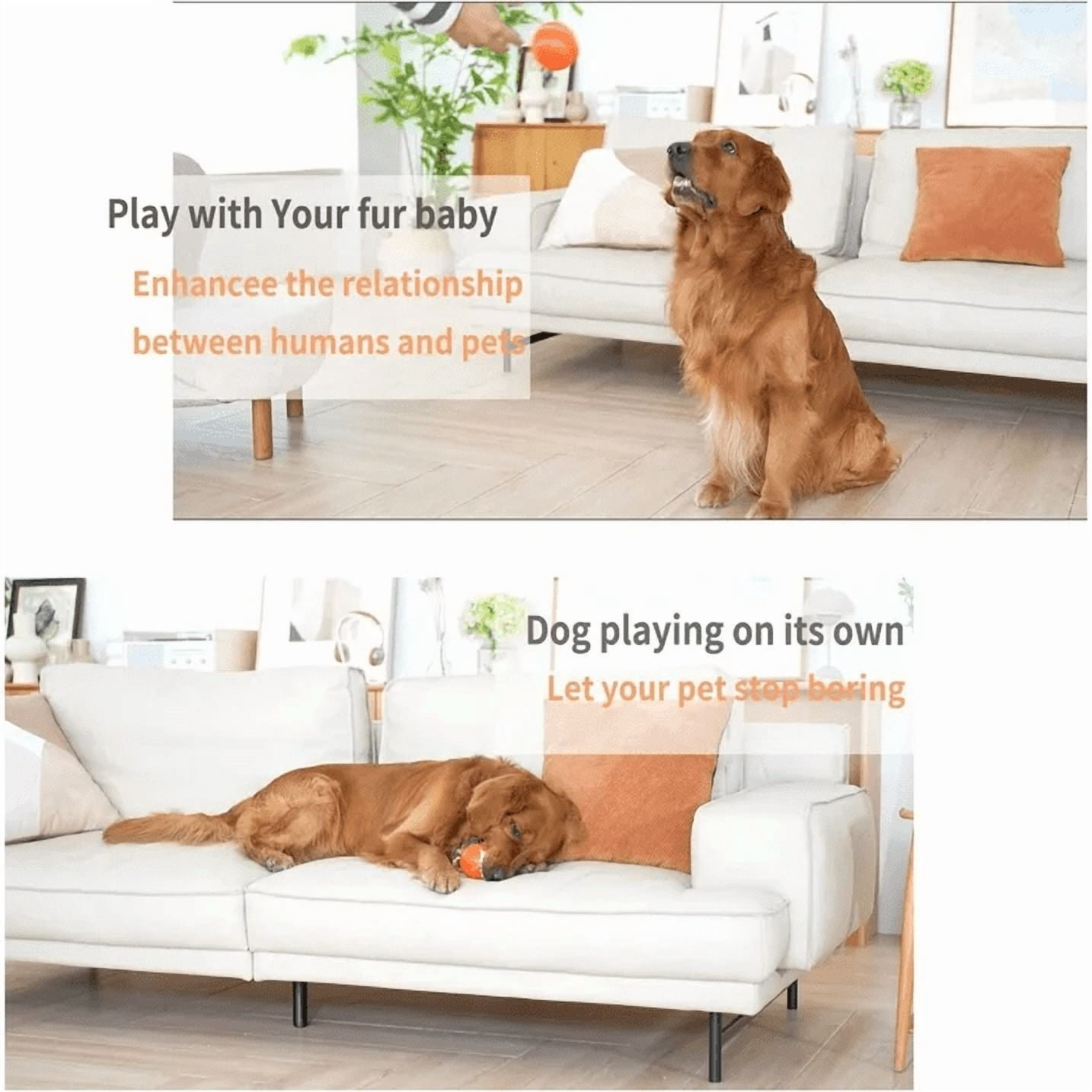Interactive Dog Toys Ball, Active Wicked Dog Ball with Remote ~, Automatic Rolling Bouncing Dog Ball with Light, for Puppy/Small/Medium Dogs, USB Rechargeable, Fun and Engaging Gift