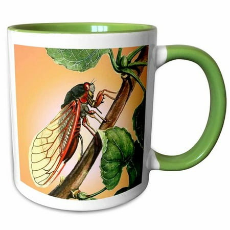 

3dRose Insects Cicada Coffee Mug