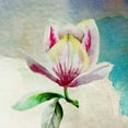 thumbnail image 2 of Boho Hue Studio 12x12 White Modern Wood Framed Museum Art Print Titled - Solitary Magnolia, 2 of 4