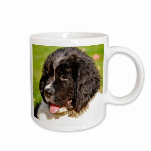 3drose, Oregon, Portland, Landseer Newfoundland Dog Puppy - Us38 Bja0526 - Jaynes Gallery, 15oz Mug