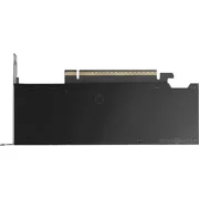 RTX PRO 2000 Graphics Card 16 GB GDDR7 128 bit 4 x Mini DisplayPort