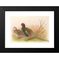 thumbnail image 2 of Henry Jones 18x14 Black Modern Framed Museum Art Print Titled - Green Japanese Pheasant (1918-1922), 2 of 5