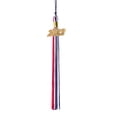 thumbnail image 5 of Class Act Graduation Graduation Tassel - Gold Charm - 3 Color, Black / Purple / Green, 5 of 9