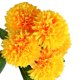 thumbnail image 5 of Ramo de flores artificiales de 5 cabezas Ceremonia de banquete de boda Decoración floral Tela de seda Flor falsa con hojas, Amarillo Yuarrent HA6561-03B, 5 of 6