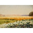 thumbnail image 3 of Jan Stanislawski 14x11 Black Modern Framed Museum Art Print Titled - Field of Cabbage (From 1895 Until 1897), 3 of 5