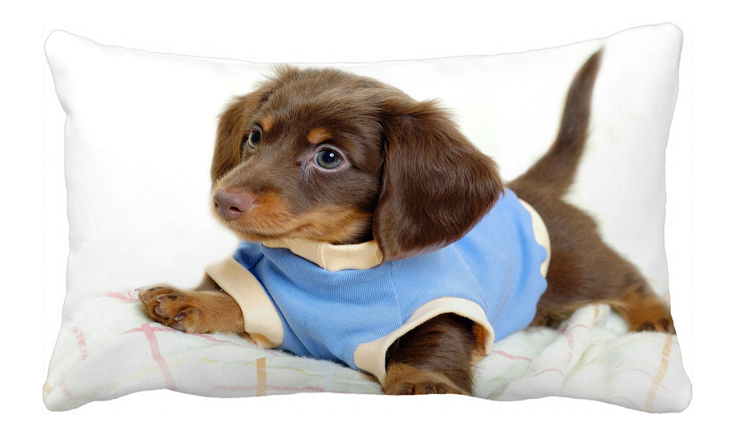 ZKGK Dachshund Pillowcase Home Decor Pillow Cover Case Cushion Two Sides 20x30 Inches Walmart