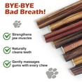 thumbnail image 4 of Bully Sticks for Dogs, 6 Inch, 10 Pieces Long-Lasting Beef Chews for Small, Medium & Large Breeds, Low Odor, 4 of 7