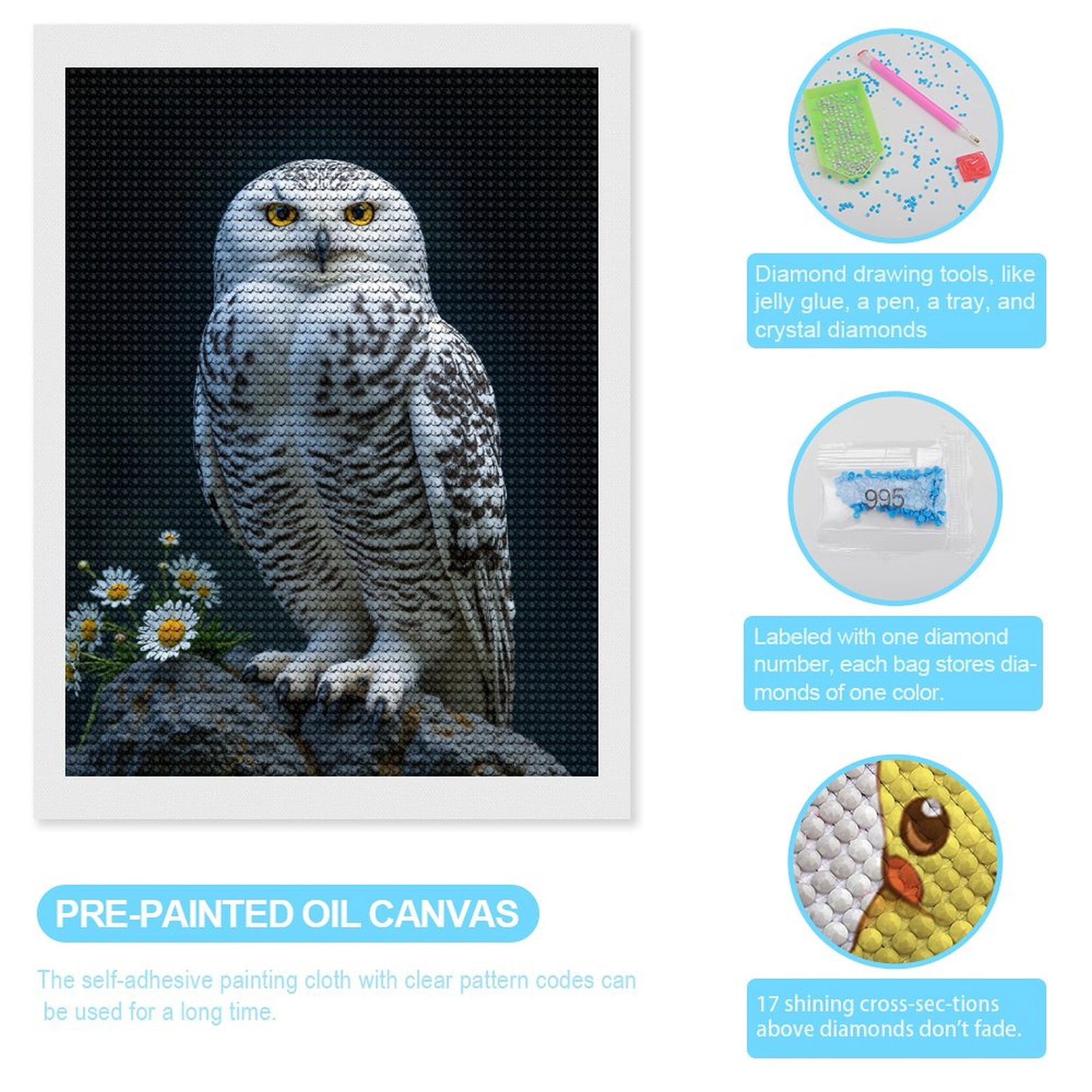 Diamond Art Kits for Adults - White Owl Perched On Rock Daisies 5d Diamond Painting for Adults, Diamond Art for Adults Beginners, Frameless Diamond Painting Kits for Adults for Home Wall Decor