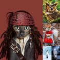 thumbnail image 1 of Pintura de diamante (DE4031) Animal punto de cruz 5D cuadrado DIY Kit de bordado 20X30cm Hugtrwg Para estrenar, 1 of 1