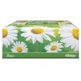 thumbnail image 2 of Pañuelos Kleenex manzanilla 100 hojas triples, 2 of 5