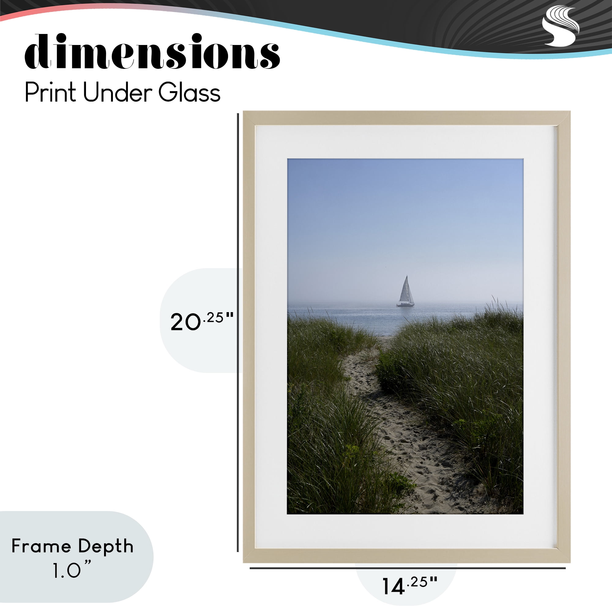 Stupell Industries Path to Morning Sail Birch Framed Print Under Glass, design by JLM Photographs