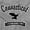 Sport Grey, variant on Connecticut Cute Bald Eagle Souvenir Men's Graphic T Shirt Tees Brisco Brands L