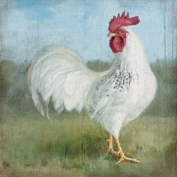 Art.com Noble Rooster I Vintage No Border Art Print by Danhui Nai, 16" x 16"