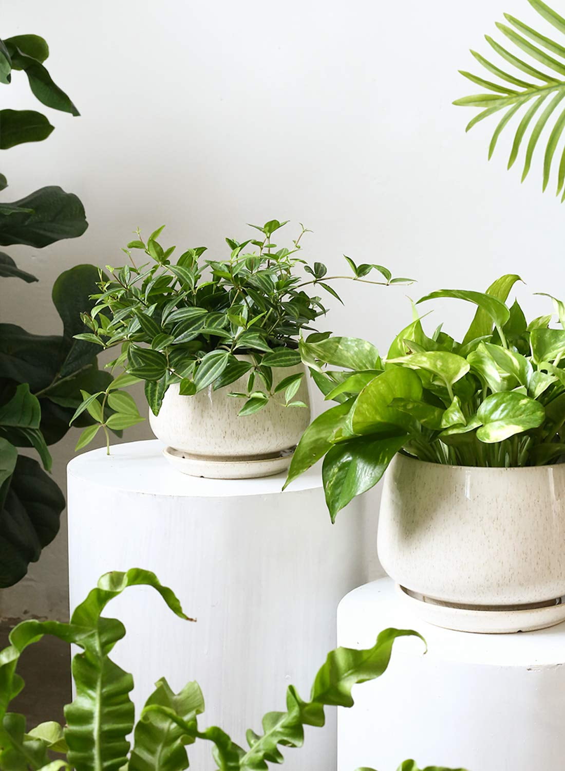 BEMAY Set of 3 Ceramic Plant Pots with Drainage Hole and Saucer, 4.1" 5.1" 6.5" Flower Pots, Indoor Outdoor Planters for Home Patio Garden Decor, Reactive Glaze Beige (Plants Not Included)