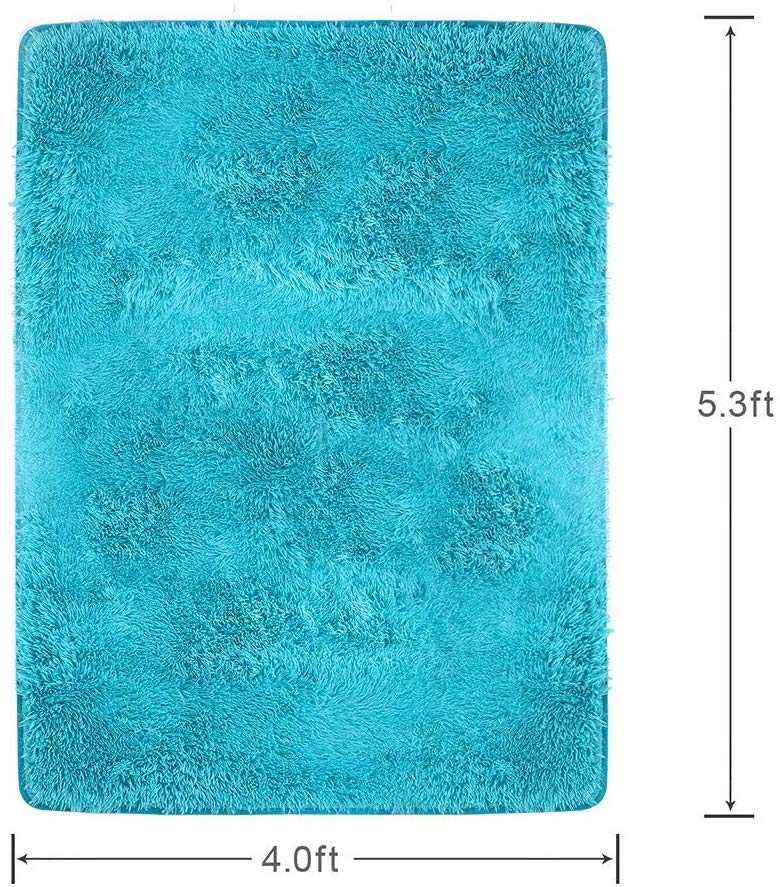 Oumilen Area Rug, 2' x 3'