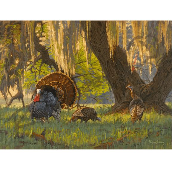 "Boss of the Moss" Wild Turkey Canvas Art Print