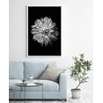 thumbnail image 2 of IDEA4WALL Framed Canvas Art Wall Decor Chrysanthemum Floral Flower Photography Minimalism Modern Closeup Dramatic Black and White for Dorm Home Office - 16"x24", 2 of 4