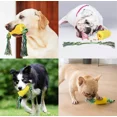 thumbnail image 5 of Juguete Para Perro Cepillo De Dientes Con Cepillo Limpio, 5 of 5