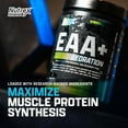 thumbnail image 5 of Nutrex Research EAA Hydration | EAAs + BCAA Powder | Muscle Recovery, Strength, Endurance | 8G Essential Amino Acids + Electrolytes | Blueberry Lemonade, 5 of 10