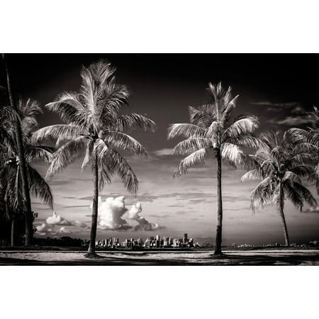 Palm Trees overlooking Downtown Miami - Florida Print Wall Art By Philippe