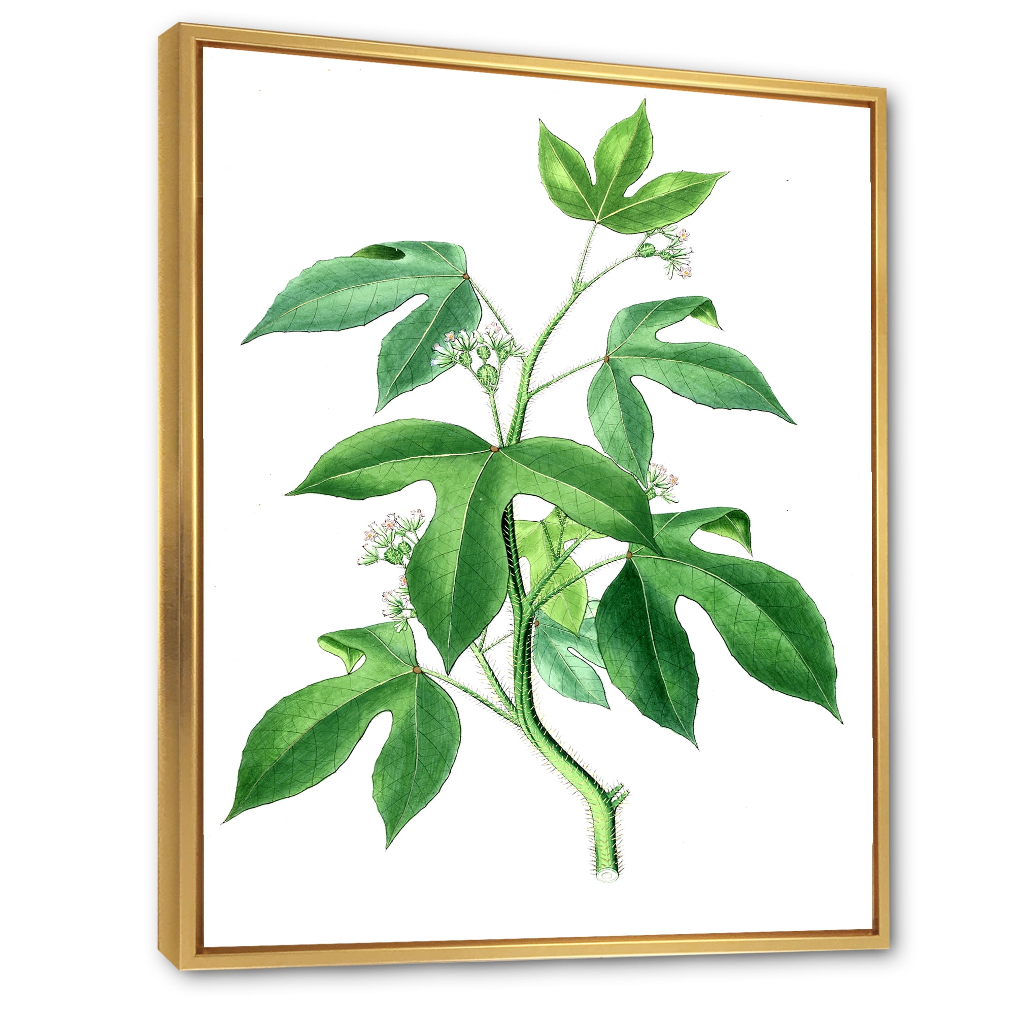 Designart 'Ancient Green Leaves Plants V' Traditional Framed Canvas Wall Art Print