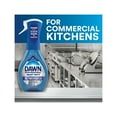 thumbnail image 2 of Dawn Heavy Duty Powerwash Commercial Dish Spray, Starter Kit with 16 oz Spray Bottle and 5 Refills/Carton, 2 of 7