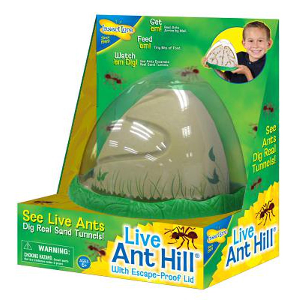 Insect Lore Anthill