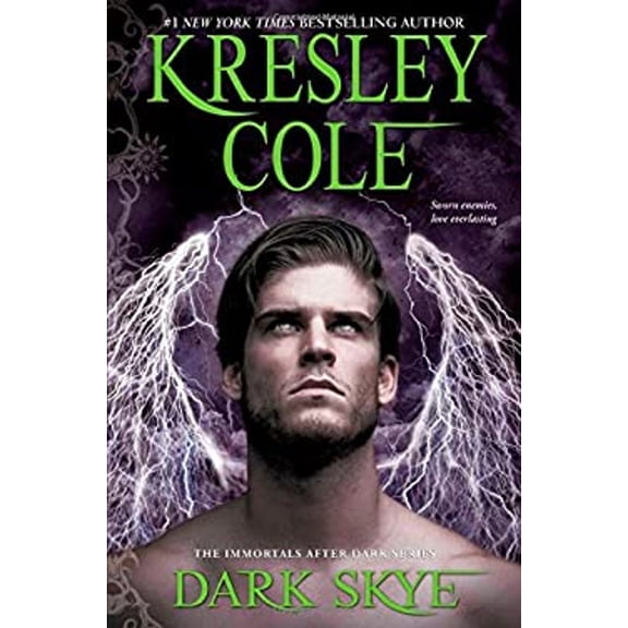 Pre-Owned Dark Skye (Hardcover) 1451649940 9781451649949