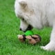 thumbnail image 5 of Juguetes para Perros que son Resistentes al Mordisco y Sirven para Morder y Afilar los Dientes., 5 of 5