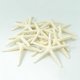 thumbnail image 4 of 24pcs White Finger Starfish 5-10cm Decorative Five-finger Starfish, 4 of 5